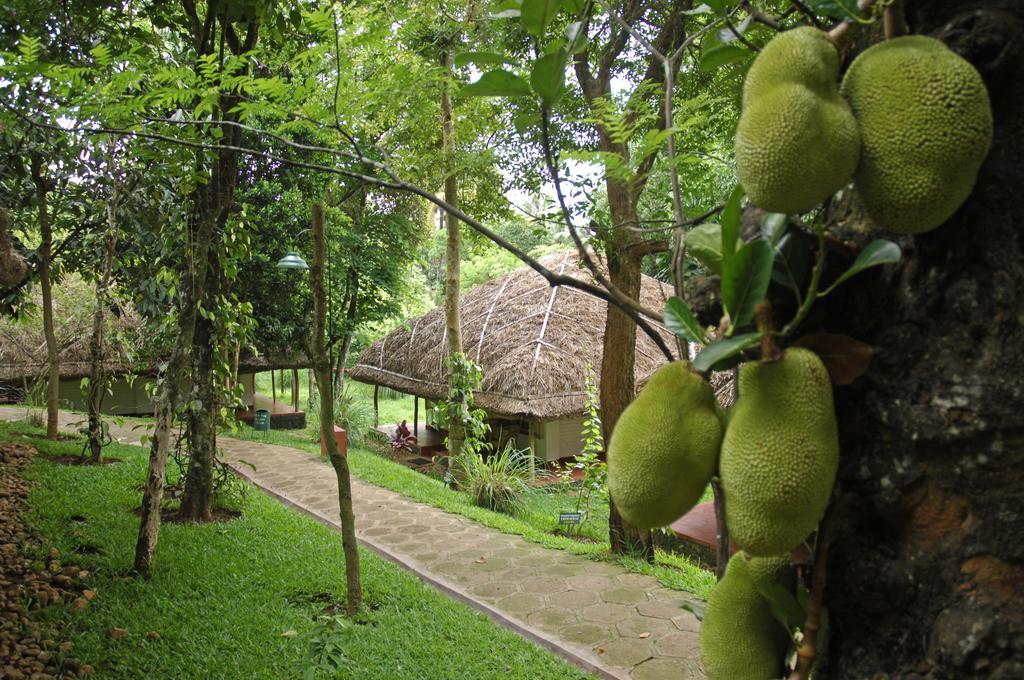 Spice Village Thekkady - A Cgh Earth Experience Ngoại thất bức ảnh