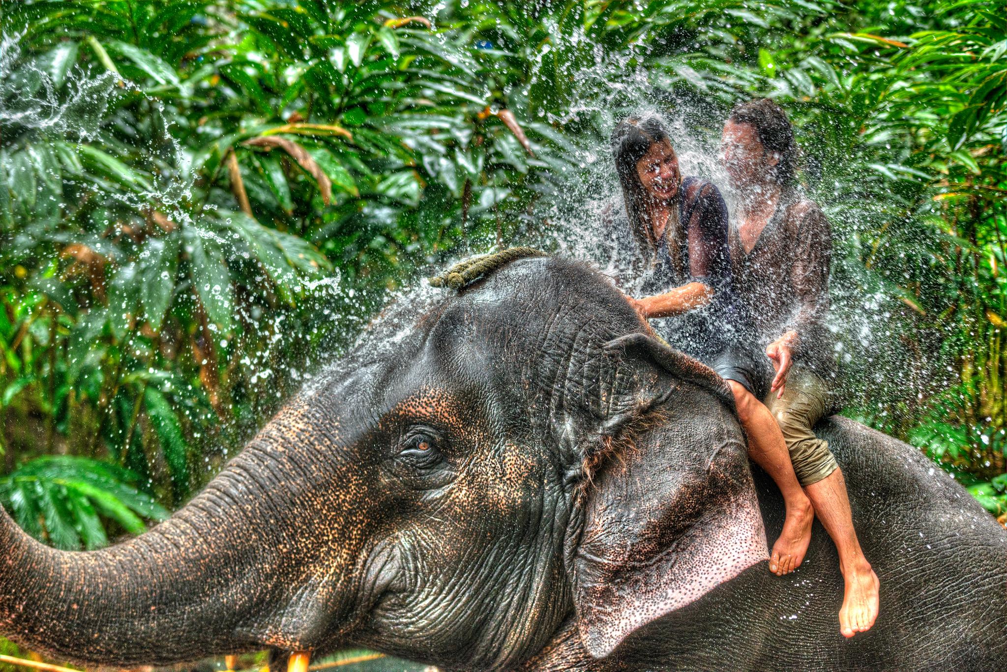 Spice Village Thekkady - A Cgh Earth Experience Ngoại thất bức ảnh